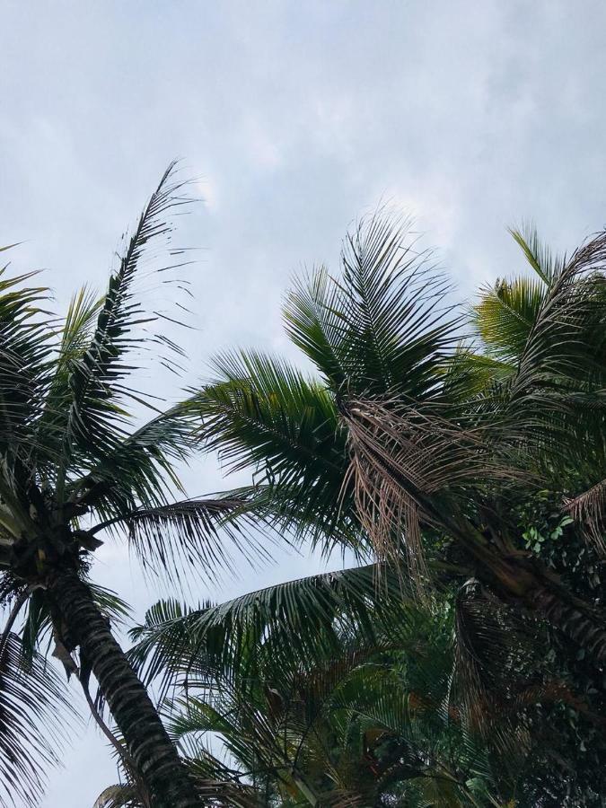 Chacara Recanto Paraiso จารินนู ภายนอก รูปภาพ