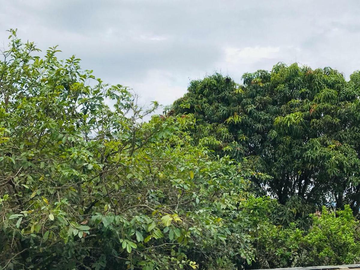 Chacara Recanto Paraiso จารินนู ภายนอก รูปภาพ