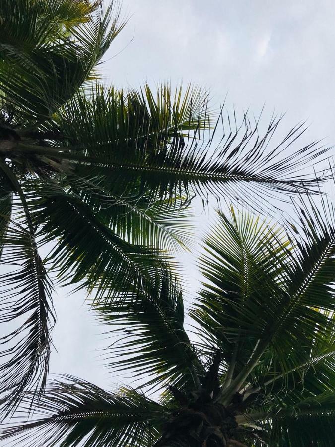 Chacara Recanto Paraiso จารินนู ภายนอก รูปภาพ